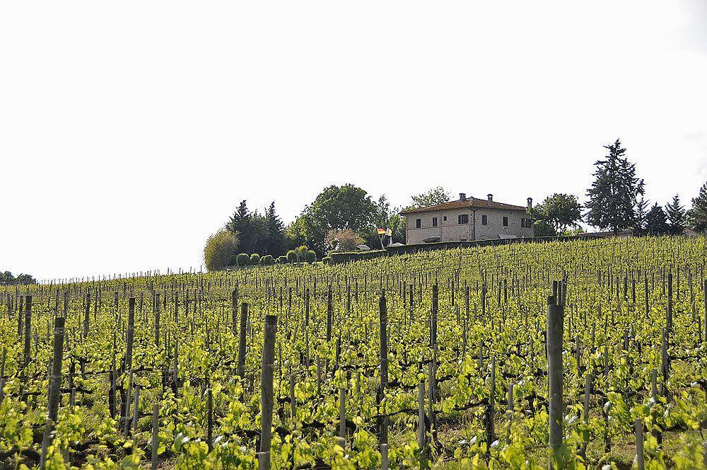 Il Colombaio, Siena -Appartamenti E Camere- Isola d'Arbia Ngoại thất bức ảnh