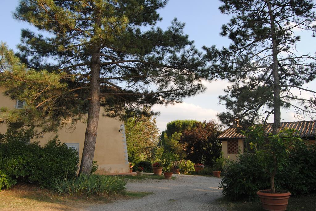 Il Colombaio, Siena -Appartamenti E Camere- Isola d'Arbia Ngoại thất bức ảnh
