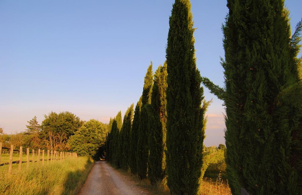 Il Colombaio, Siena -Appartamenti E Camere- Isola d'Arbia Ngoại thất bức ảnh
