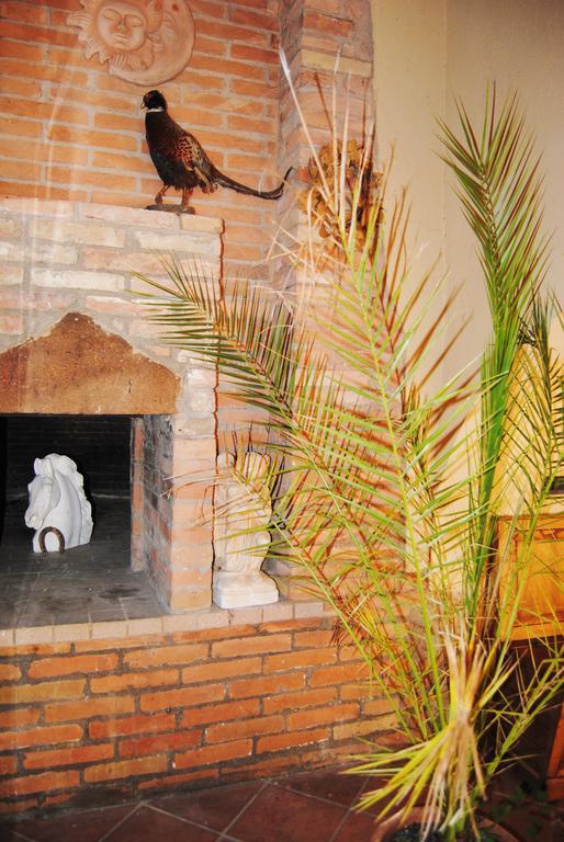 Il Colombaio, Siena -Appartamenti E Camere- Isola d'Arbia Ngoại thất bức ảnh