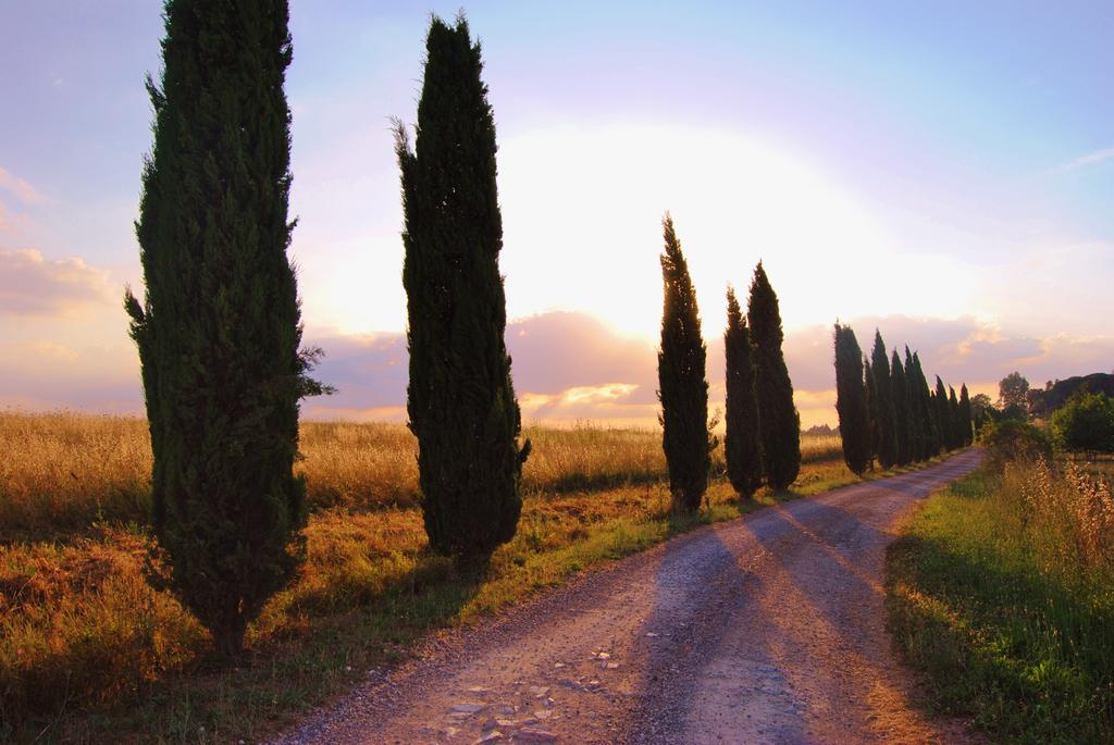 Il Colombaio, Siena -Appartamenti E Camere- Isola d'Arbia Ngoại thất bức ảnh